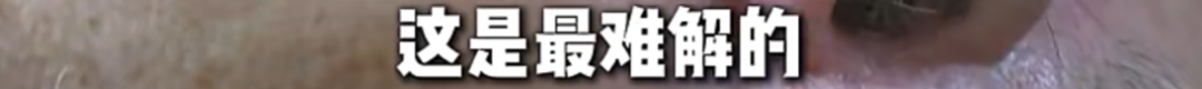 队报:巴黎卖拉莫斯和李刚仁收入破亿,将签阿克利乌舍和迪奥曼德
