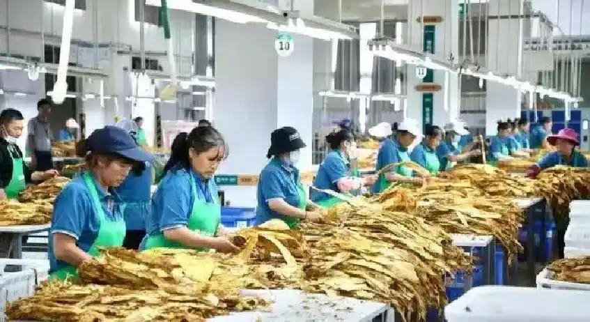 曼晚:加斯科因当年为钱拒曼联选热刺结果后悔终身,M费要注意了